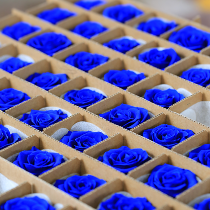 Rosas Preservadas Ecuador Colombia