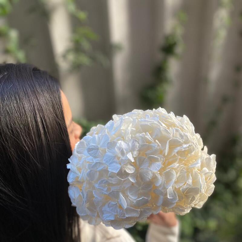 Hortensias XXL Preservadas Duración 1 Año