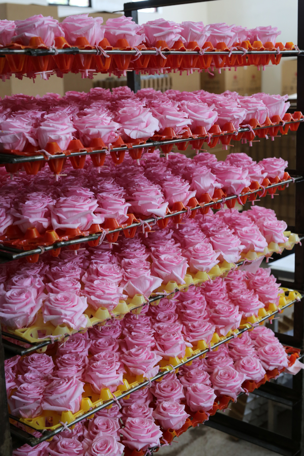 Stockage des fleurs